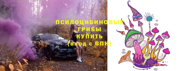 кокс Баксан