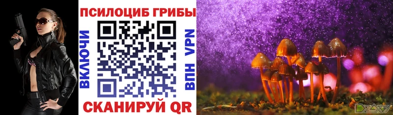 как найти наркотики  Галич  Псилоцибиновые грибы Magic Shrooms 